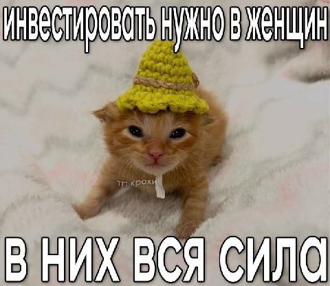 НУЖНО В ЖЕНЩИН В НИХ ВСЯ