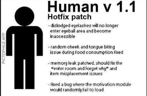Human 1.1 Hotfix patch dislodged eyelashes will no longer enter eyeball area and become inaccessible -random cheek and tongue biting issue during food consumption fixed -memory leak patched, should fi