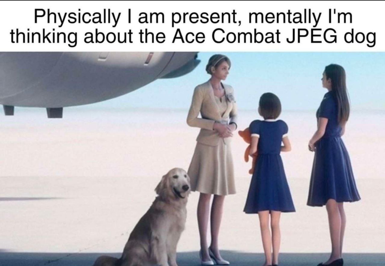 Physically present, mentally thinking abo the Ace Combat JPEG dog