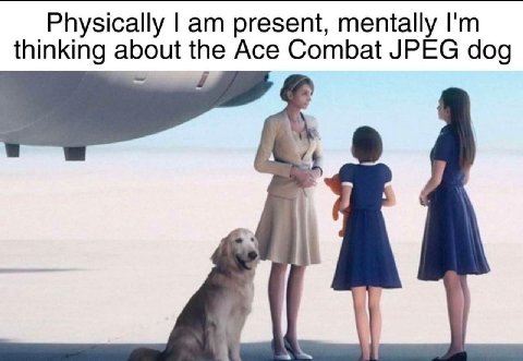 Physically present, mentally thinking abo the Ace Combat JPEG dog