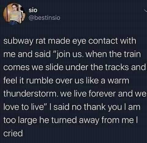 slo subway rat macie eye contact with and said “join when the train comes we Slicle ипаег the tracks and feel it rumble over like а warm thunderstorm. we live forever and we love to live” said no than