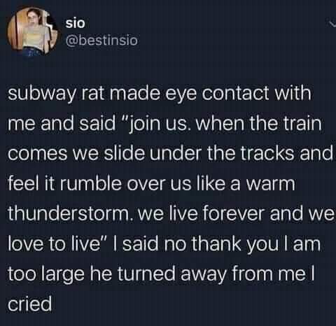slo subway rat macie eye contact with and said “join when the train comes we Slicle ипаег the tracks and feel it rumble over like а warm thunderstorm. we live forever and we love to live” said no than