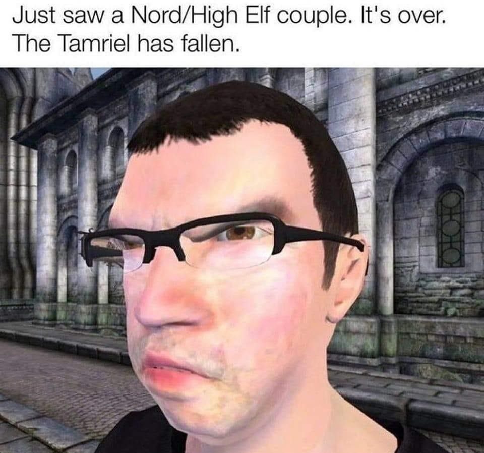 Just saw а Nord/High Elf couple. It's over. The Tamriel has fallen. 28