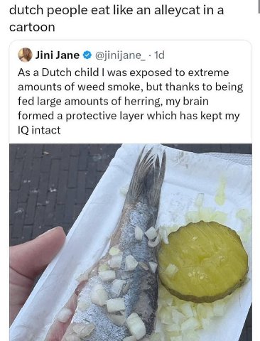 dutch people eat like alleycat ina cartoon Jini Jane @jinijane_- As a Dutch child was exposed to extreme amounts of weed smoke, but thanks to being fed large amounts of herring, my brain formed a prot