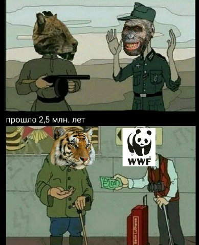as прошло 2,5 млн. лет WWE
