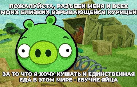 К ПОЖАЛУ ИСТА, РАЗ ЕБИ МЕНЯ И С БЛИЗ КИХ ВЗРЫВ ЩЕИСЯ КУРИ ЦЕИ ЗА ТО ЧТО Я ХОЧУ КУШАТЬ И ЕДИНСТВЕННАЯ ЕДА В ЭТОМ МИРЕ ЕБУЧИЕ ЯЙЦА