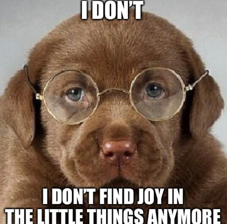 DON'T FIND JOY IN THE LITTLE THINGS ANYMORE