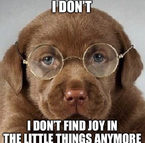 DON'T FIND JOY IN THE LITTLE THINGS ANYMORE