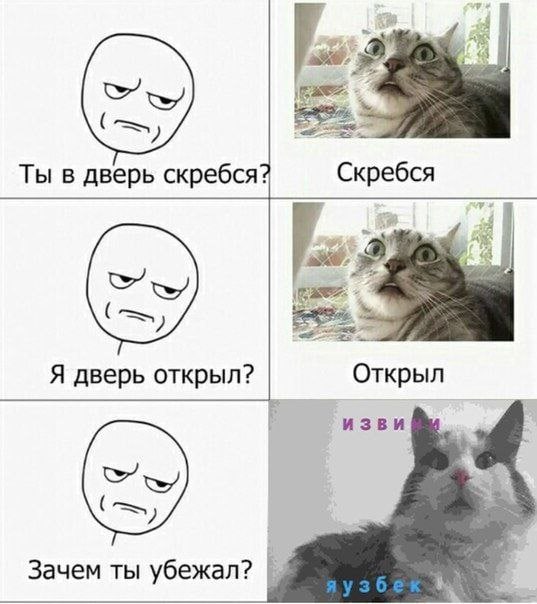 Ты в дверь скребся? Скребся Я дверь открыл? Открыл изви Зачем ты убежал?