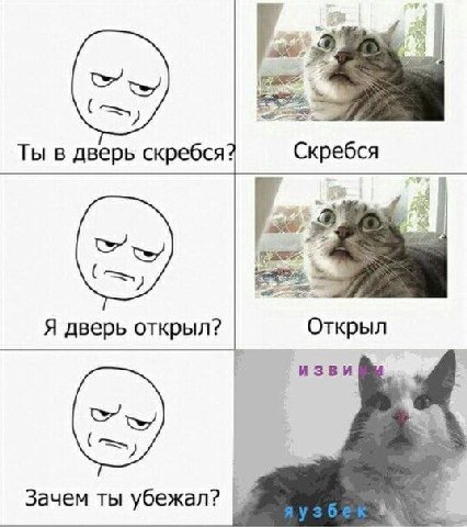 Ты в дверь скребся? Скребся Я дверь открыл? Открыл изви Зачем ты убежал?