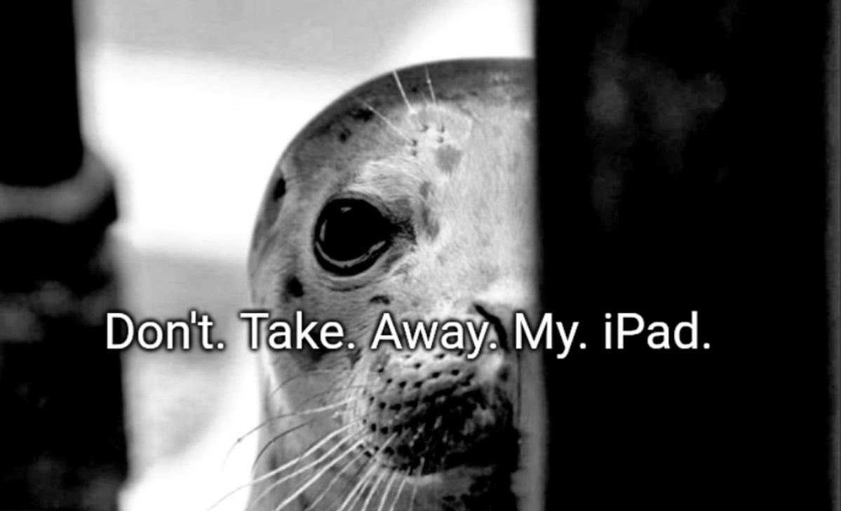 Don iPad.