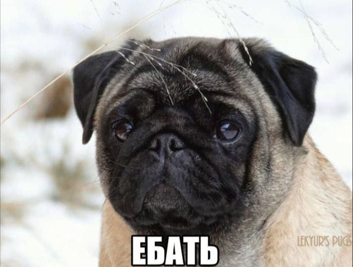 a EBATb