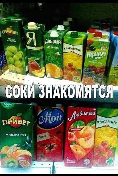 Ness СОКИ ЗНАКОМЯТСЯ" ПРИВЕТ В