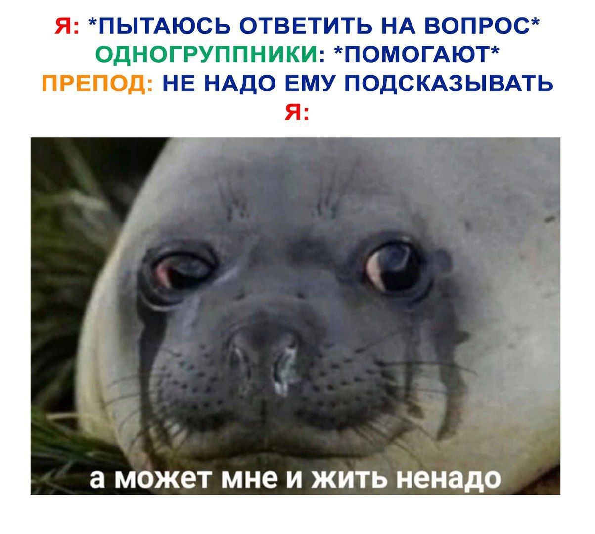 Я: *ПЫТАЮСЬ ОТВЕТИТЬ НА ВОПРОС* ОДНОГРУППНИКИ: *ПОМОГАЮТ* ПРЕПОД: НЕ НАДО ЕМУ ПОДСКАЗЫВАТЬ я: а может мне и жить ненадо