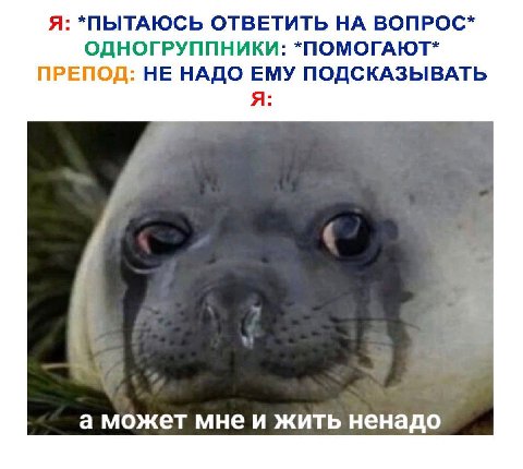 Я: *ПЫТАЮСЬ ОТВЕТИТЬ НА ВОПРОС* ОДНОГРУППНИКИ: *ПОМОГАЮТ* ПРЕПОД: НЕ НАДО ЕМУ ПОДСКАЗЫВАТЬ я: а может мне и жить ненадо