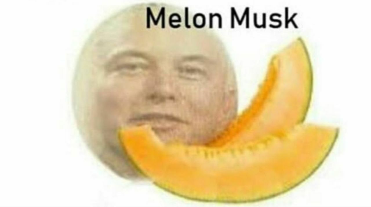 on Musk 4