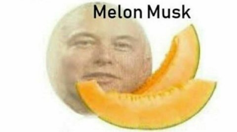 on Musk 4