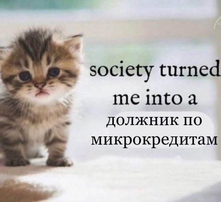 society turned должник по микрокредитам