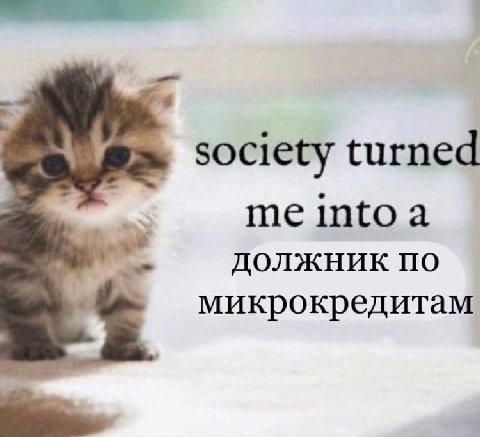society turned должник по микрокредитам