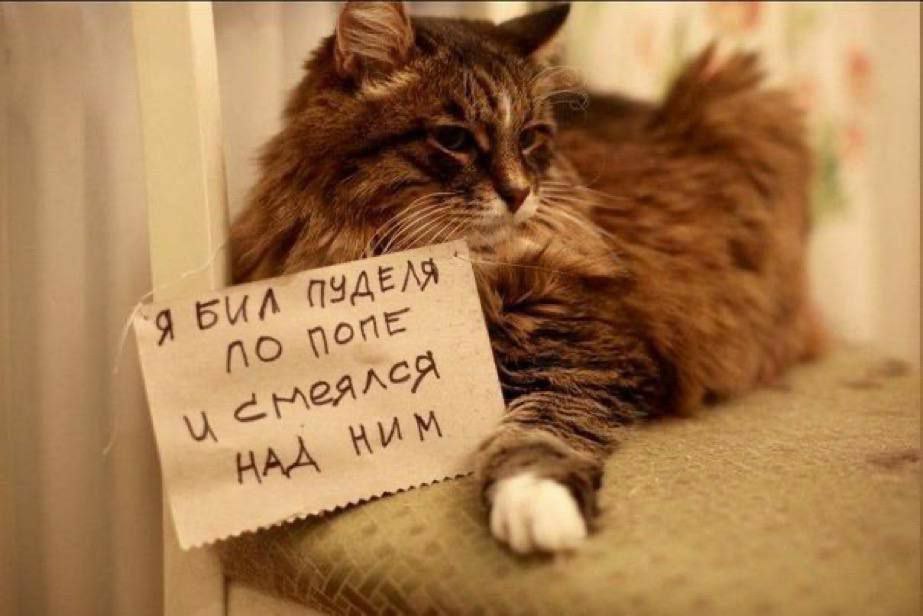 ПУДЕЛЯ