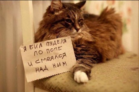ПУДЕЛЯ