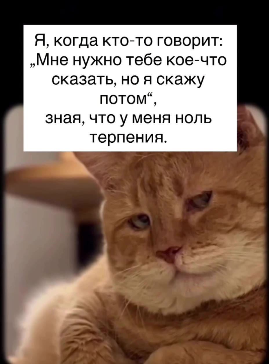 Перешли 😄