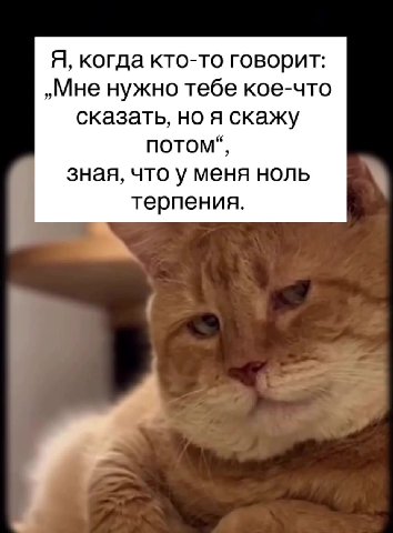 Перешли 😄