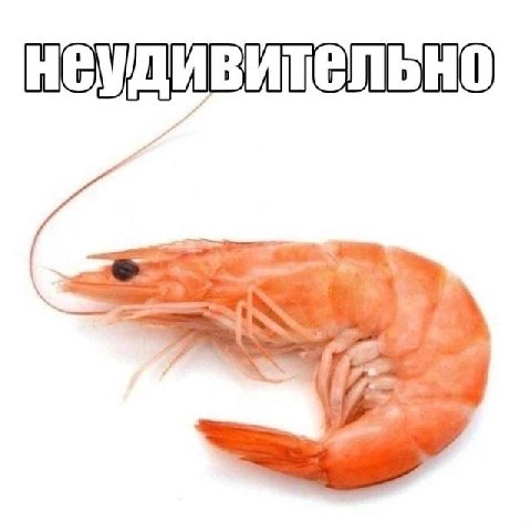 мем