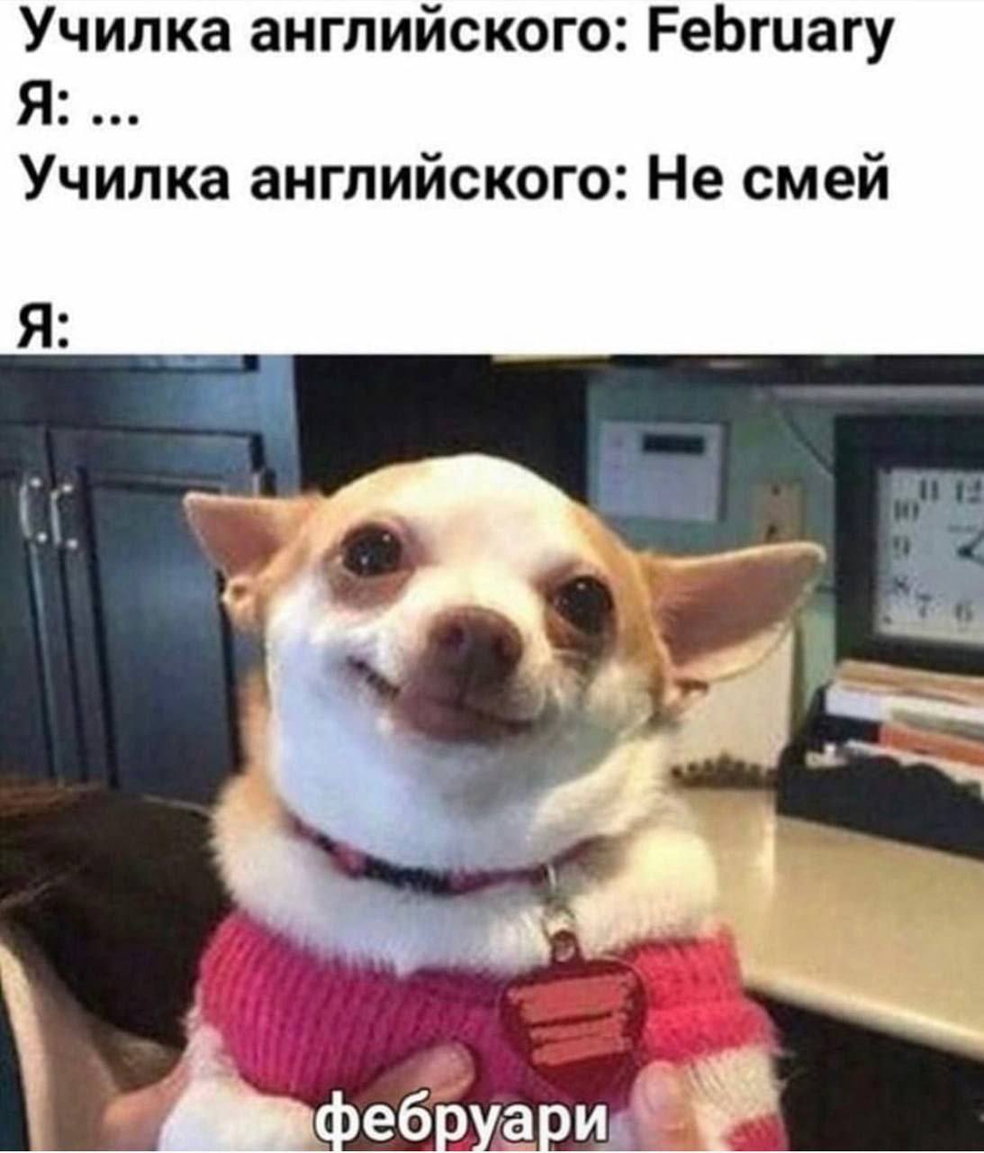 Училка английского: February Училка английского: Не смей Я: