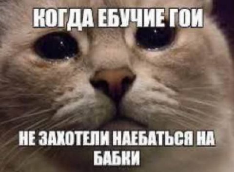 КОГДА ЕБУЧИЕ ГОИ НЕ ЗАХОТЕЛИ НАЕБАТЬСЯ НА БАБКИ