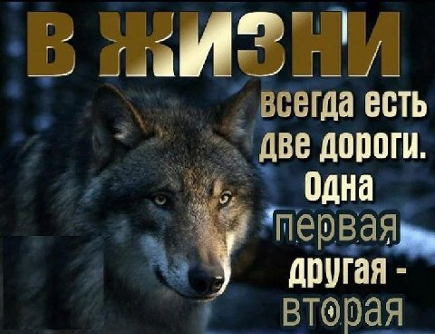 есть Две дороги. одна другая Вторая