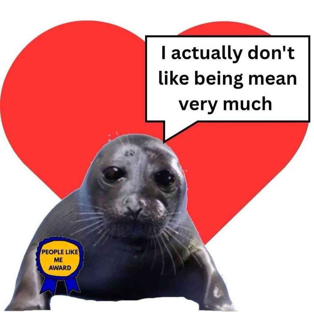 actually don't like being mean very much
