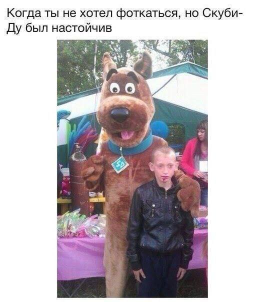 Когда ты не хотел фоткаться, но Скуби- был настойчив 6 6 a a