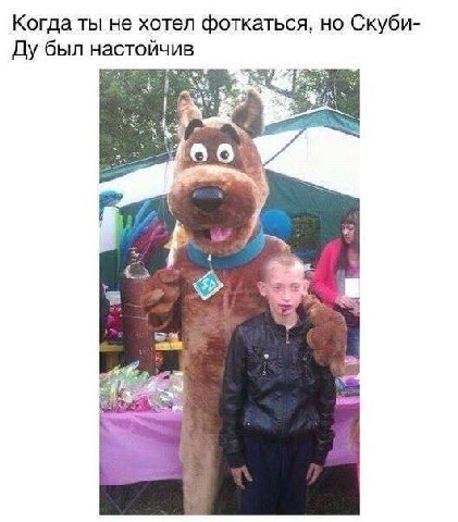 Когда ты не хотел фоткаться, но Скуби- был настойчив 6 6 a a