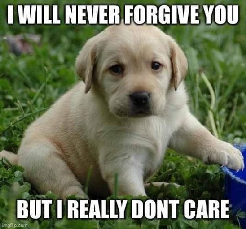 ПАЛЕ NEVER FORGIVE YOU 4 BUT REALLY DONT CARE