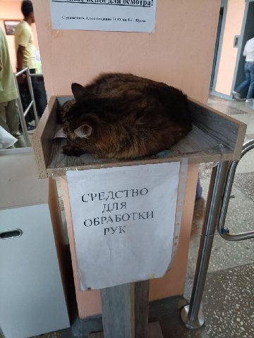 it СРЕДСТВО для ОБРАБОТКИ РУК к