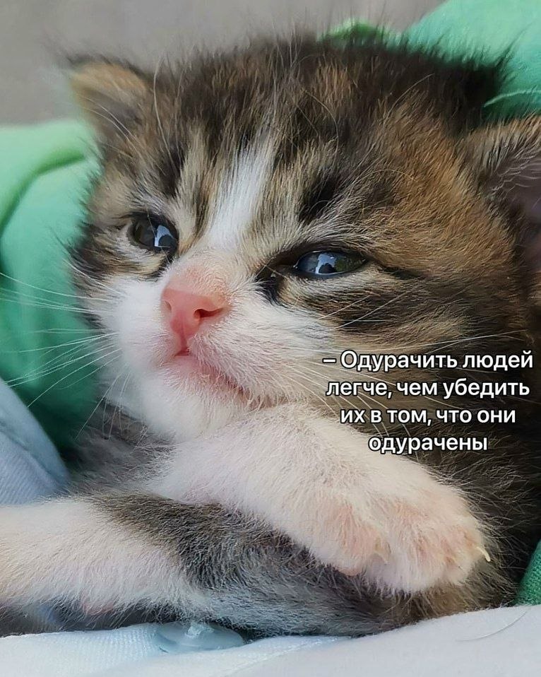 Одурачить людей легче, чем убедить ЧТО ОНИ Фдурачены