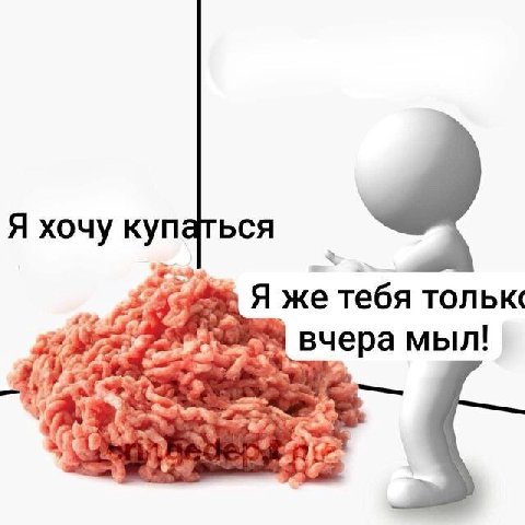 Я хочу купаться Я же тебя вчера мыл!