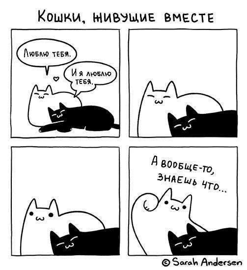 Кошки, ВМЕСТЕ oN 6 A ЗНАЕШЬ Sarah Andersen