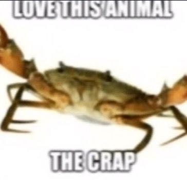 ТОУВТГИТГУ'АМТМАЕ THE