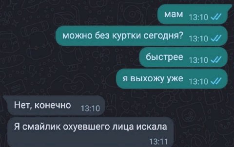 мам можно без куртки сегодня? быстрее я выхожу уже Нет, конечно Я смайлик охуевшего лица искала