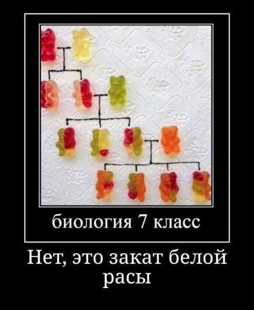 биология 7 класс Нет, это закат белой расы