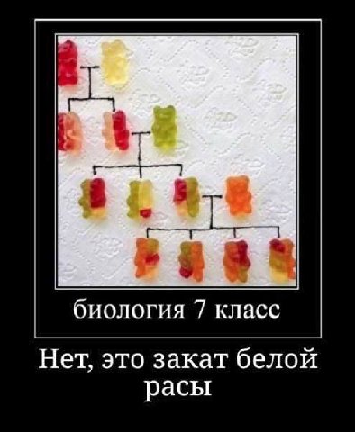 биология 7 класс Нет, это закат белой расы