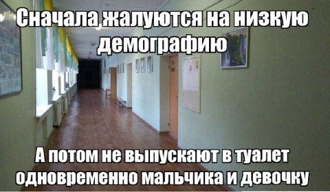 ‘Сначала жалуются на низкую демографию А потом не выпускают в туалет одновременно мальчика и девочку