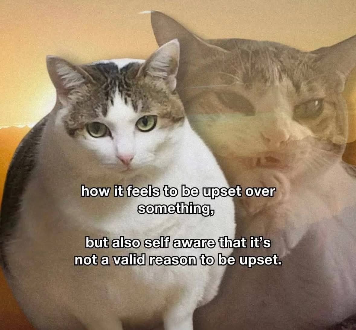 how it upset over but also self athat it’ not a valid rea be upset