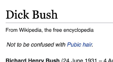Dick Bush From Wikipedia, the free encyclopedia Not to be confused with Pubic hair. Ruch (94 1931 ДА!