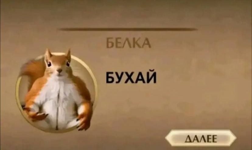 БЕЛКА БУХАЙ AAAEE