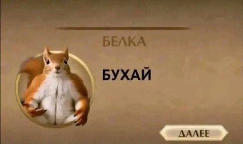 БЕЛКА БУХАЙ AAAEE