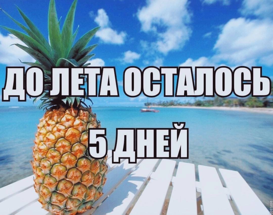 №4 ДО ЛЕТА ОСТАЛОСЬ a
