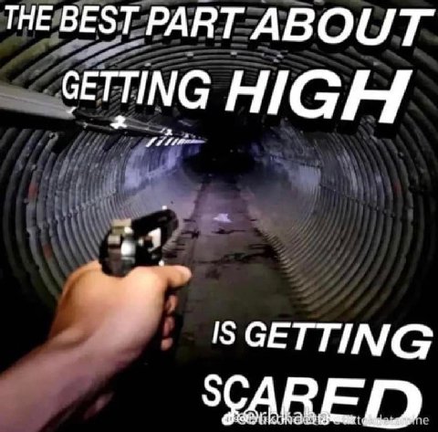 THE BEST PART ABOUT HIGH SCARED